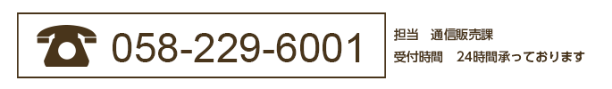 FAX：058-229-6001